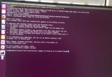 ԔLinux(w)nvidia-dockerh(hun)