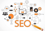SEO(yu)ҪL(zhng)r(sh)gȥ᣿